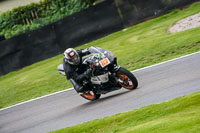 anglesey;brands-hatch;cadwell-park;croft;donington-park;enduro-digital-images;event-digital-images;eventdigitalimages;mallory;no-limits;oulton-park;peter-wileman-photography;racing-digital-images;silverstone;snetterton;trackday-digital-images;trackday-photos;vmcc-banbury-run;welsh-2-day-enduro